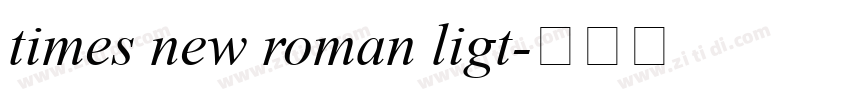 times new roman ligt字体转换 times new roman ligt字体转换